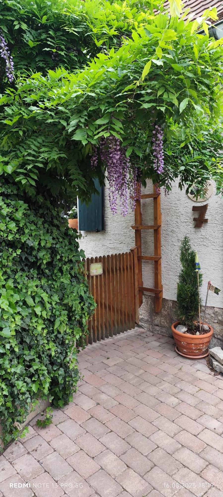 Ferienwohnung Geiernest Ochsenfurt Zewnętrze zdjęcie