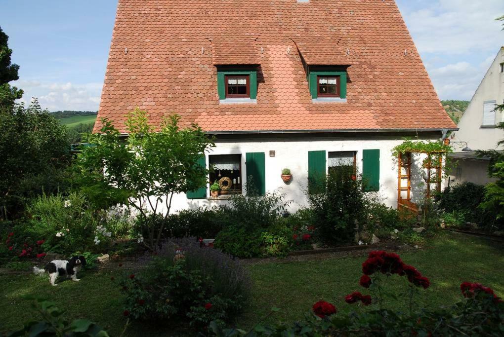 Ferienwohnung Geiernest Ochsenfurt Zewnętrze zdjęcie